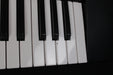 Casio CTK-120 Electronic Keyboard 49 Full Size Keys (Used) - No Adaptor - Fair Deal Music
