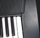 Casio CTK-120 Electronic Keyboard 49 Full Size Keys (Used) - No Adaptor - Fair Deal Music