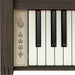 Roland Kiyola KF-25 Artisan Digital Piano Smoked Oak (Display Model) - Fair Deal Music