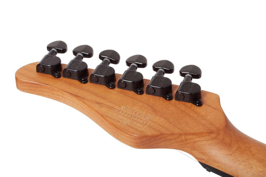 Schecter PT Standard Black Fade Burst Burl - Fair Deal Music