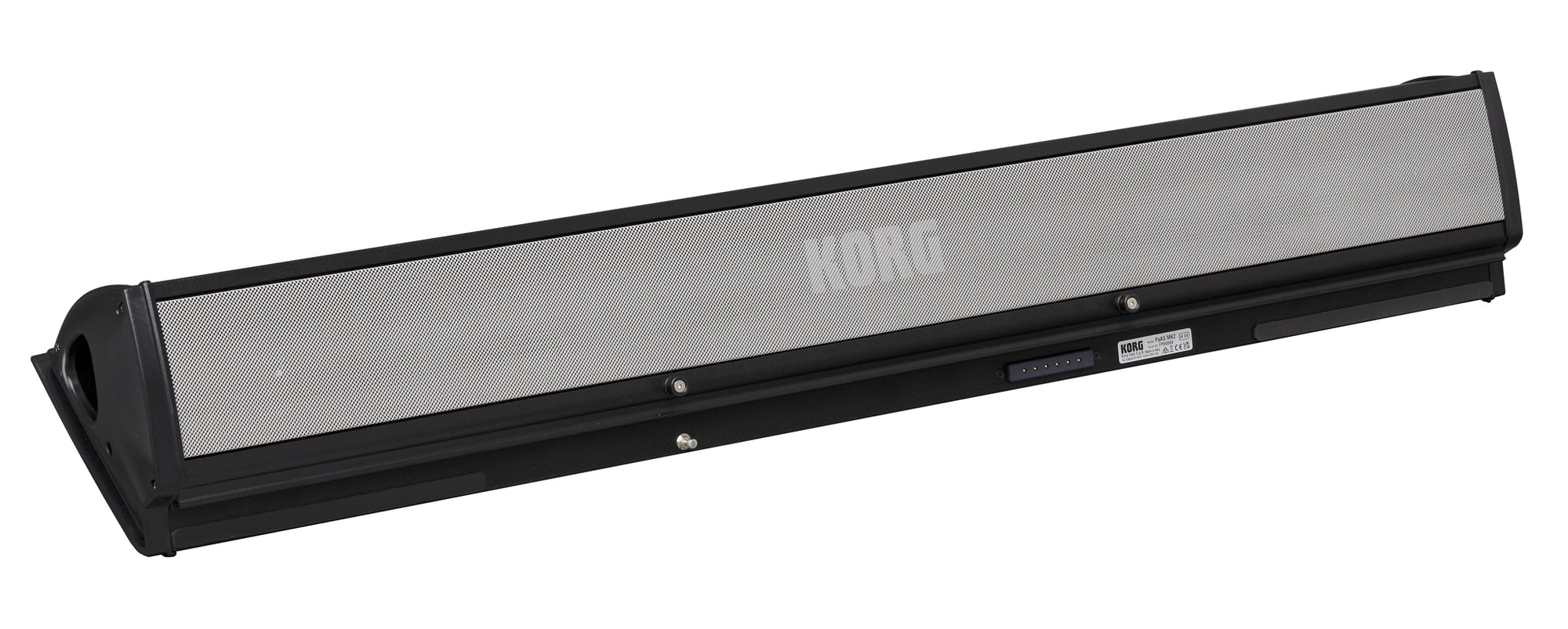 Korg PaAS MK2 Amplification System for Pa5X Keyboard - Fair Deal Music
