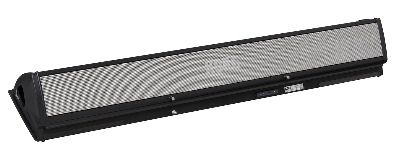 Keyboard Amplifiers