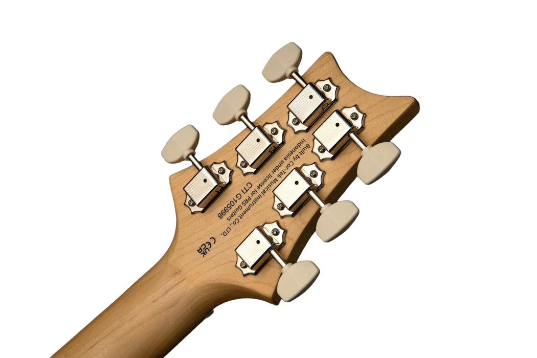PRS SE NF 53 Electric Guitar in White Doghair, Maple Fingerboard - Fair Deal Music