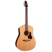 Seagull Coastline Momentum Electro-Acoustic Guitar ~ HG - Fair Deal Music