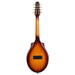 Seagull S8 Electro Mandolin ~ Sunburst EQ - Fair Deal Music