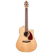 Seagull Performer C/A Electro-Acoustic Guitar ~ Spruce HG ~ PreSys II with Bag - Fair Deal Music