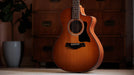 Taylor 112ce, Sapele/Spruce Special Edition Electro Acoustic Guitar, Honey Sunburst Top - Fair Deal Music