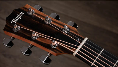 Taylor 214ce Grand Auditorium Electro Acoustic Guitar - Fair Deal Music