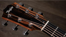 Taylor 214ce Grand Auditorium Electro Acoustic Guitar - Fair Deal Music
