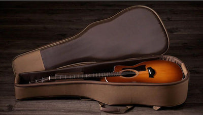 Taylor 214ce,Indian Rosewood/Spruce, Special Edition Electro Acoustic Guitar, Honey Sunburst Top - Fair Deal Music