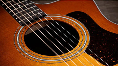 Taylor 214ce,Indian Rosewood/Spruce, Special Edition Electro Acoustic Guitar, Honey Sunburst Top - Fair Deal Music
