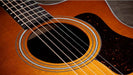 Taylor 214ce,Indian Rosewood/Spruce, Special Edition Electro Acoustic Guitar, Honey Sunburst Top - Fair Deal Music
