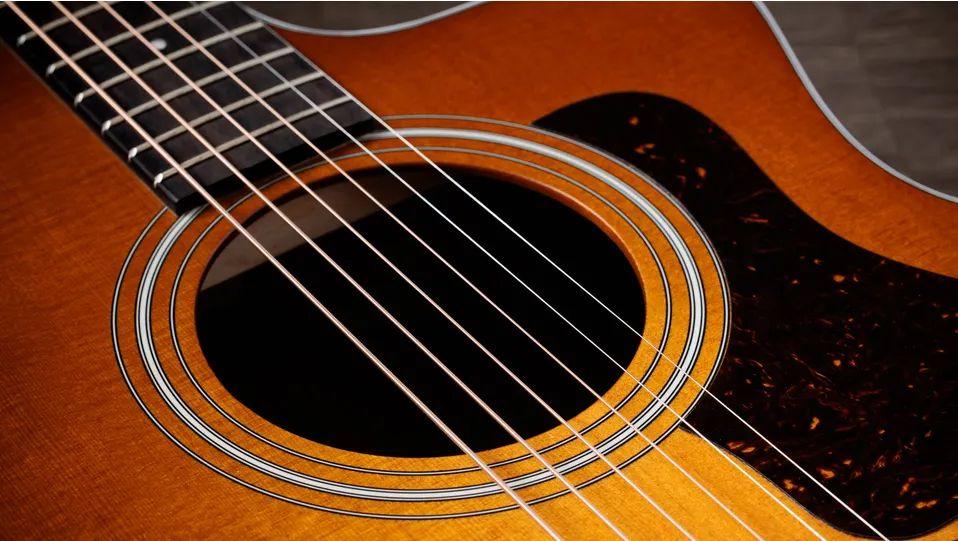 Taylor 214ce,Indian Rosewood/Spruce, Special Edition Electro Acoustic Guitar, Honey Sunburst Top - Fair Deal Music