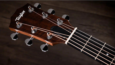 Taylor 24ce Grand Auditorium Electro Acoustic Guitar Natural - Fair Deal Music
