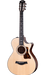 Taylor 312ce 12 Fret Electro Acoustic Guitar, Grand Concert - Fair Deal Music