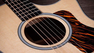 Taylor 314CE, Next Generation Electro Acoustic Guitar, Grand Auditorium - Fair Deal Music