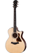 Taylor 314CE Grand Auditorium - Fair Deal Music