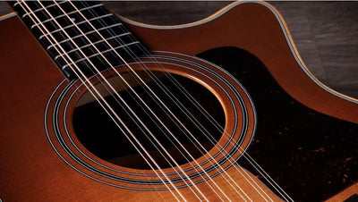 Taylor 354ce Studio,Sapele/Spruce, Special Edition Electro Acoustic Guitar, Honey Sunburst Top - Fair Deal Music