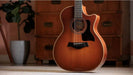 Taylor 354ce Studio,Sapele/Spruce, Special Edition Electro Acoustic Guitar, Honey Sunburst Top - Fair Deal Music
