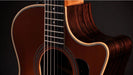 Taylor 414ce Studio, Rosewood/Spruce, Special Edition Electro Acoustic Guitar, Honey Sunburst Top - Fair Deal Music