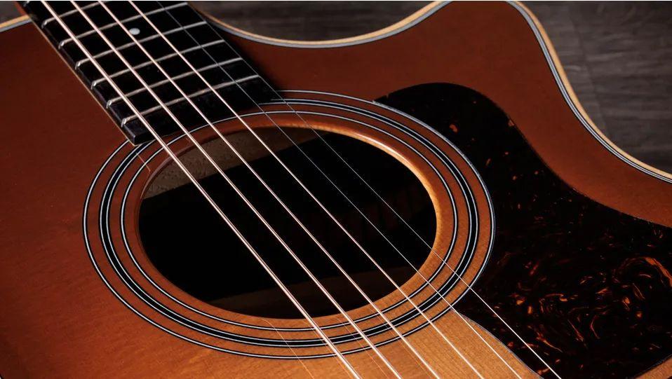 Taylor 414ce Studio, Rosewood/Spruce, Special Edition Electro Acoustic Guitar, Honey Sunburst Top - Fair Deal Music