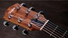 Taylor Academy 10e Electro Acoustic Guitar – Natural - Fair Deal Music