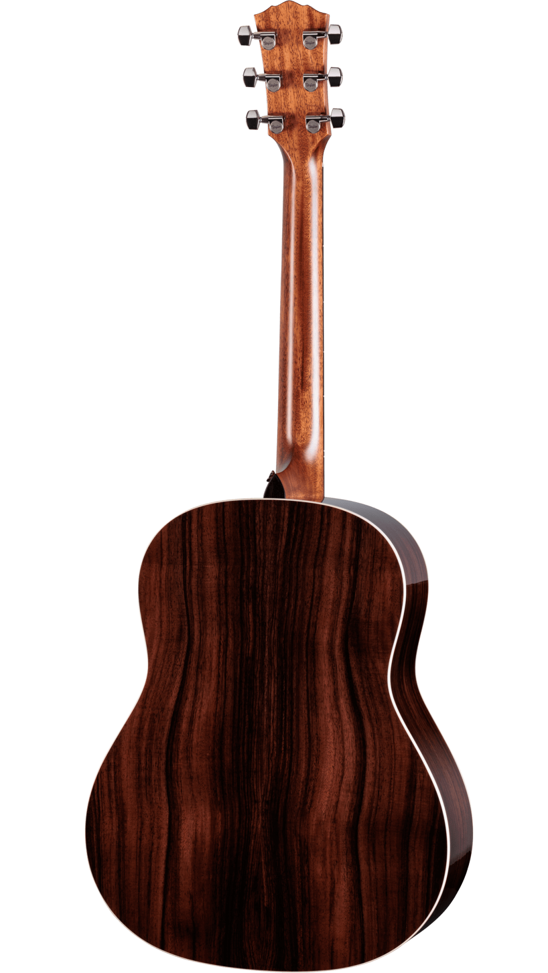 Taylor 517e SB Gold Label Grand Pacific Electro Acoustic Guitar - Fair Deal Music