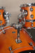 Natal Spirit Series US Fusion X 5-Piece Shell Pack, Ocre Stain - Fair Deal Music