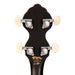 Pilgrim Progress 5-String G Banjo - Fair Deal Music