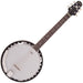 Pilgrim Progress ~ Guitar Banjo - Fair Deal Music