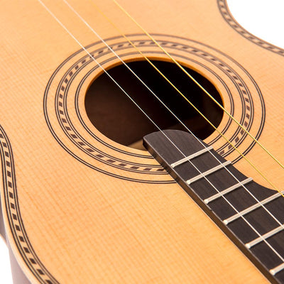 Vintage  'Viaten' Paul Brett Acoustic Tenor Guitar ~ Natural - Fair Deal Music