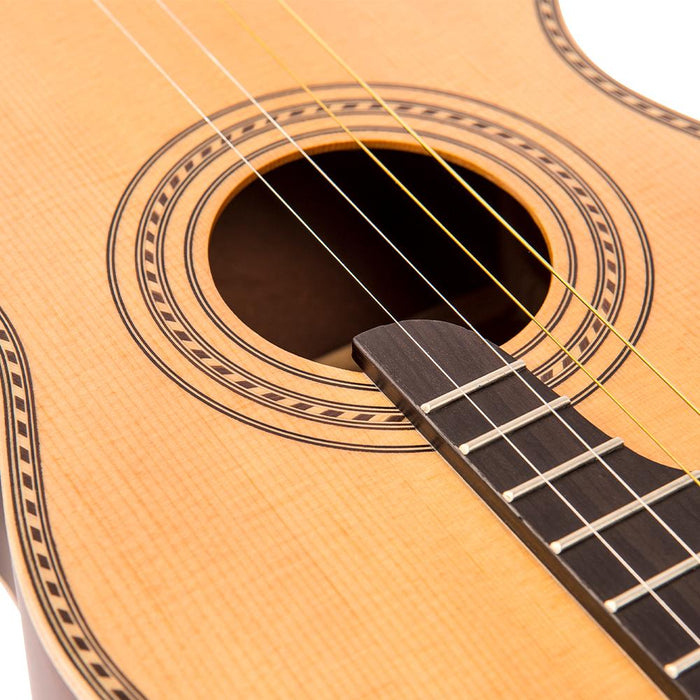 Vintage  'Viaten' Paul Brett Acoustic Tenor Guitar ~ Natural - Fair Deal Music