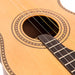Vintage  'Viaten' Paul Brett Acoustic Tenor Guitar ~ Natural - Fair Deal Music