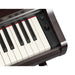 Yamaha YDP-166R Arius Digital Piano Rosewood - Fair Deal Music