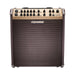 Fishman Loudbox Performer Acoustic Amplifier - Fair Deal Music