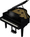 Roland GP-9M-PE Digital Grand Piano Polished Ebony (Showroom Model) - Fair Deal Music