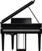 Roland GP-9M-PE Digital Grand Piano Polished Ebony (Showroom Model) - Fair Deal Music