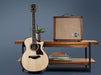 Taylor Circa 74 Acoustic Amplifier - Fair Deal Music