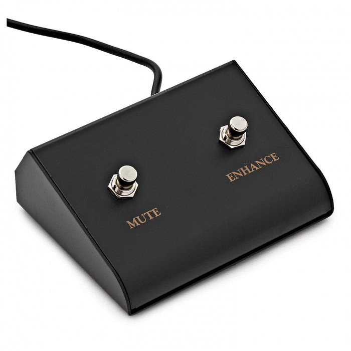 eden terra nova pedal EDEN PEDL-70001 Footswitch for MTX/Terra Nova Series — Fair Deal Music