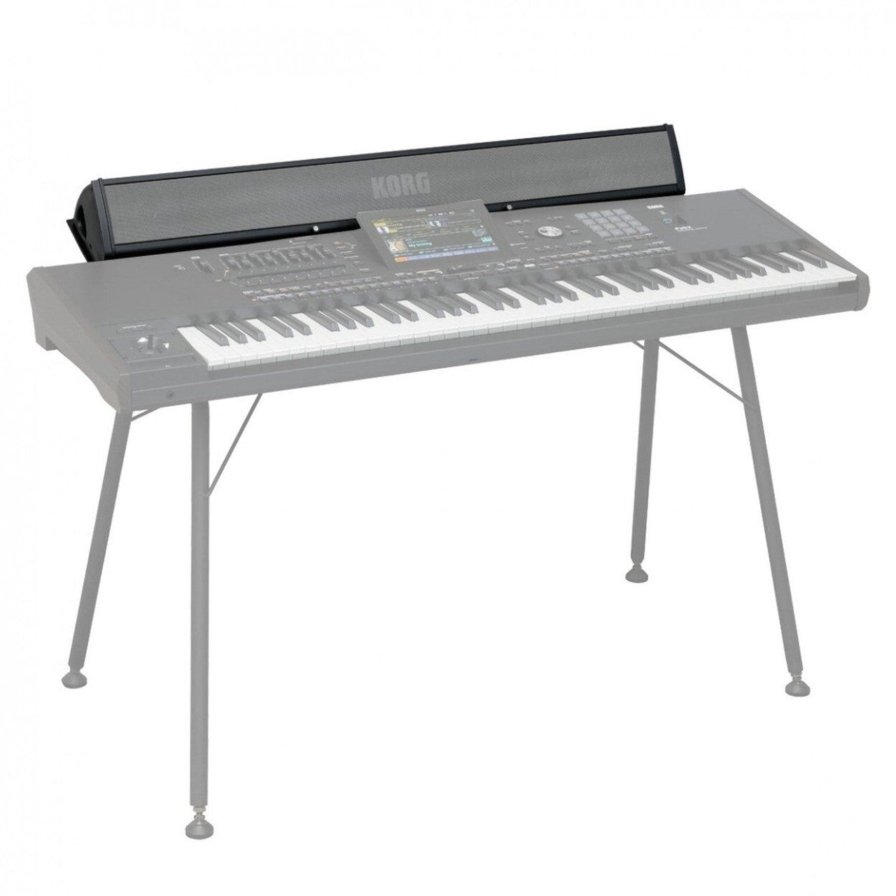 Korg PaAS MK2 Amplification System for Pa5X Keyboard - Fair Deal Music