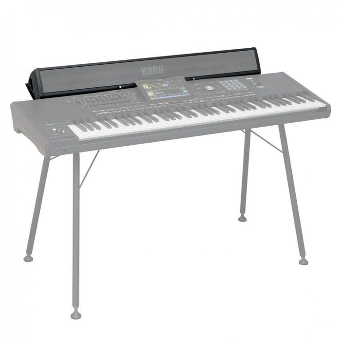 Korg PaAS MK2 Amplification System for Pa5X Keyboard - Fair Deal Music