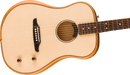Fender Highway Series Dreadnought Natural - Fair Deal Music