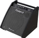 Roland PM-200 Drum Monitor (Open Box) - Fair Deal Music