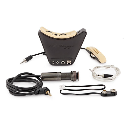 LR Baggs Anthem Acoustic Guitar Pickup with Mic - Fair Deal Music