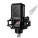 Lewitt RAY Microphone - Fair Deal Music