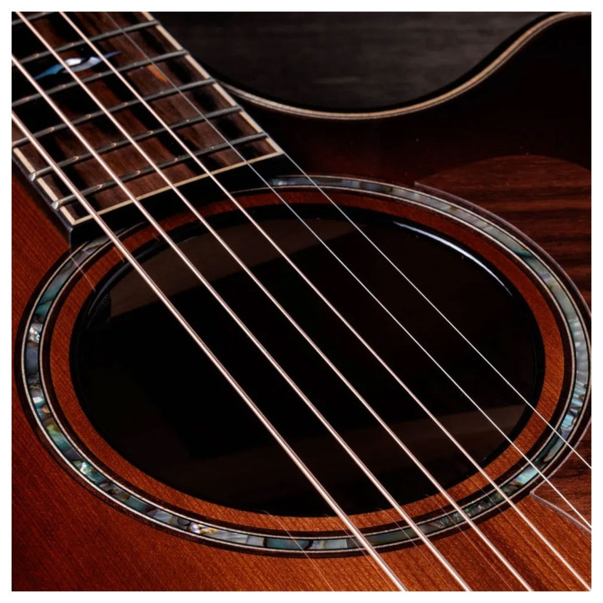 Taylor Builder's Edition 814ce Next Generation, Honduran / Sinker Redwood, Electro-Acoustic Guitar - Fair Deal Music