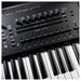 Korg Kronos 3 61 Key Semi Weighted Workstation - Fair Deal Music