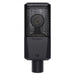 Lewitt LCT 240 PRO Large-Diaphragm Condenser Microphone, Black - Fair Deal Music