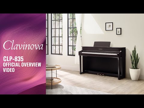 Yamaha CLP-835PE Clavinova Digital Piano Polished Ebony Bundle - Fair Deal Music