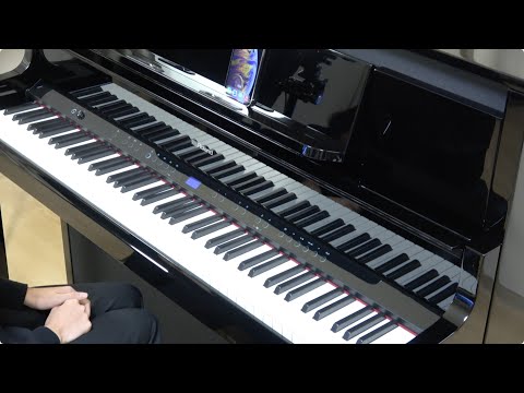 Roland LX-5-CH Digital Upright Piano Charcoal Black (Showroom Model) - Fair Deal Music